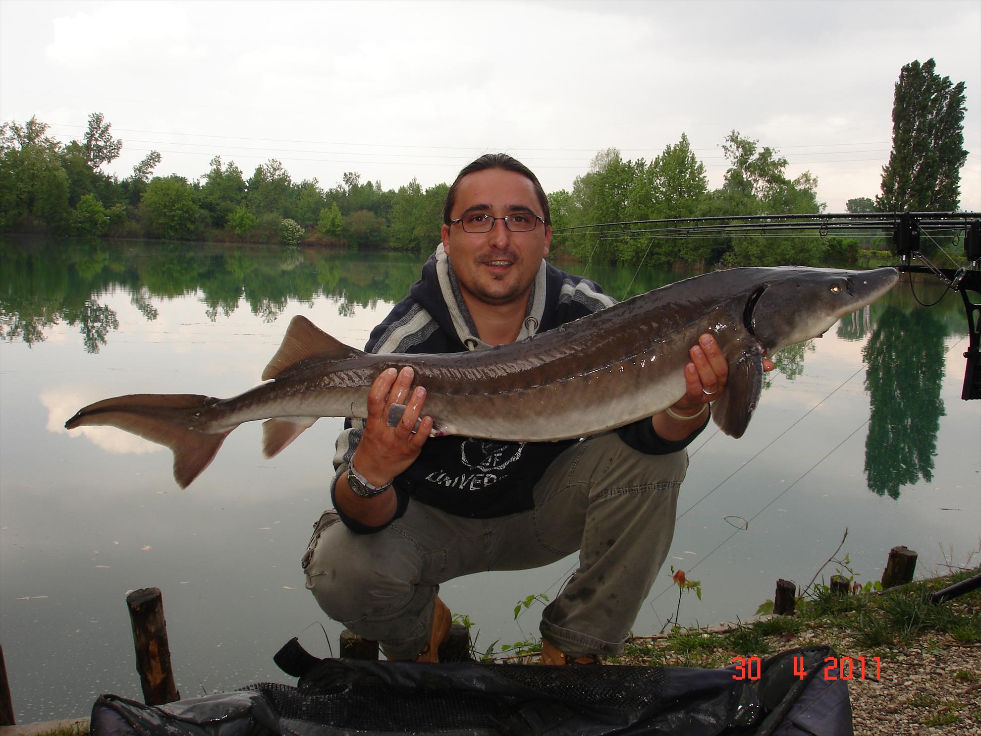 THE BIGS OF 2011 - p1000100.JPG